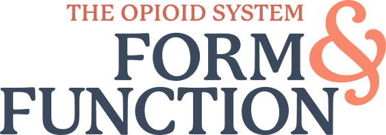 The Opioid System Form and Function