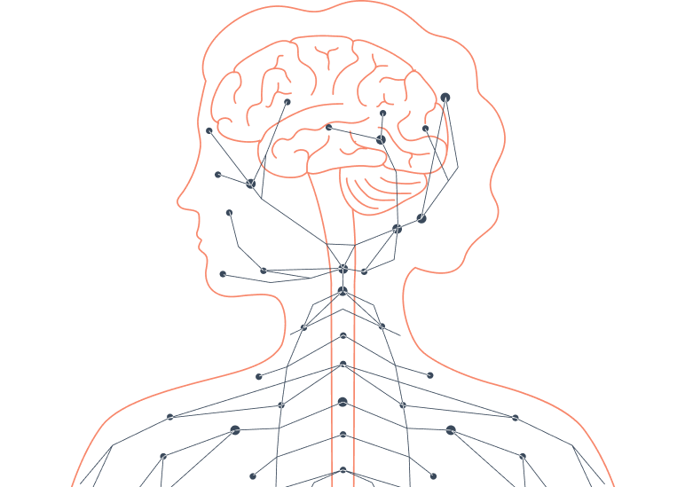 transparent person outline with brain